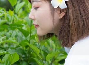 MiStar魅妍社 – 说好的兔女郎是怎样的,斯戴媛Amy的作品给了我们一副不同的图片。