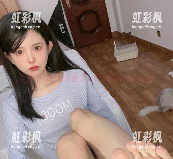 欲罢不能的黑猫合集，倦倦喵的免费库房
