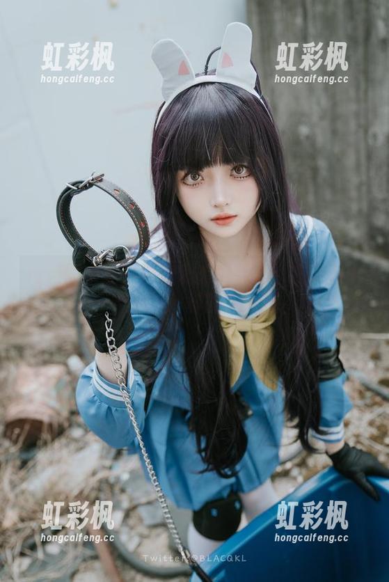 精选图集里的白莉爱吃巧克力：在深巷中遇见不一样的原理猪